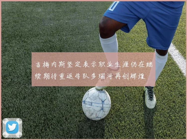 吉梅内斯坚定表示职业生涯仍在继续期待重返母队多瑙河再创辉煌