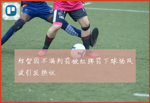 郑智因不满判罚被红牌罚下球场风波引发热议