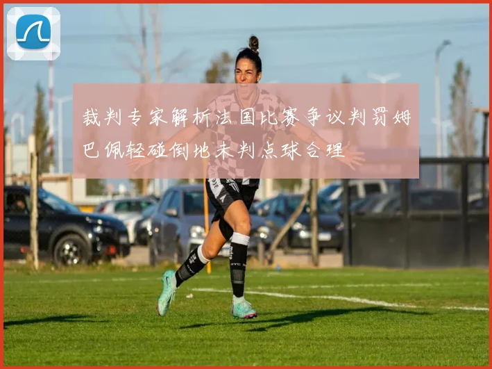 裁判专家解析法国比赛争议判罚姆巴佩轻碰倒地未判点球合理